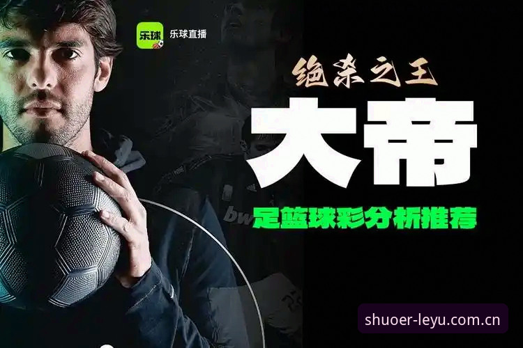 乐鱼体育官网全面解析：说一不二入口为何成为赛事直播源的核心变量